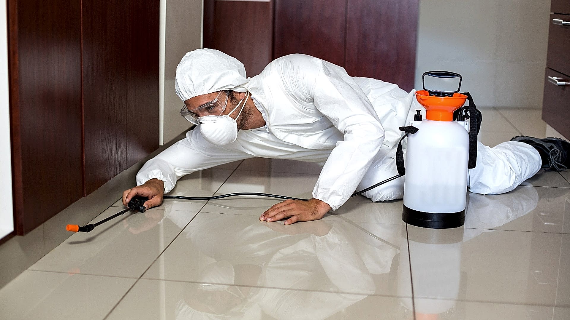 Böcek İlaçlama Hizmetimiz